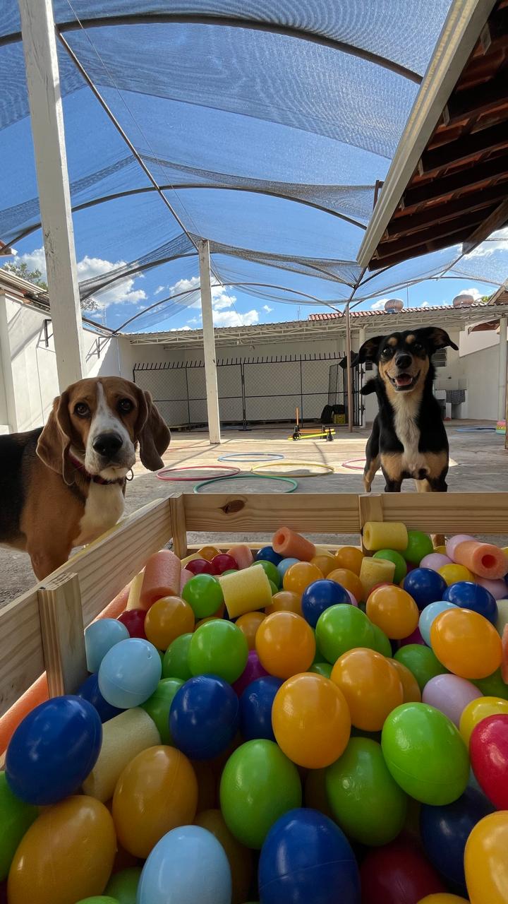 Creche